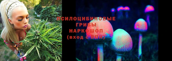 PSILOCYBIN Нея