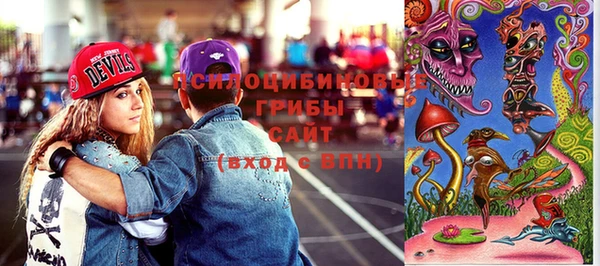 гидропоника Новодвинск