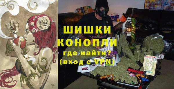 каннабис Новозыбков