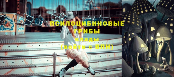 гидропоника Новодвинск