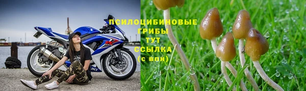 jwh Нефтекумск