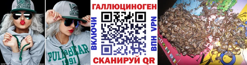 Псилоцибиновые грибы мухоморы  Заполярный 